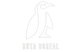 Ruta Boreal